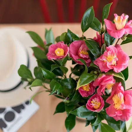 Lägenhet Casa Do Mercado By Heart Of Funchal (Madeira)