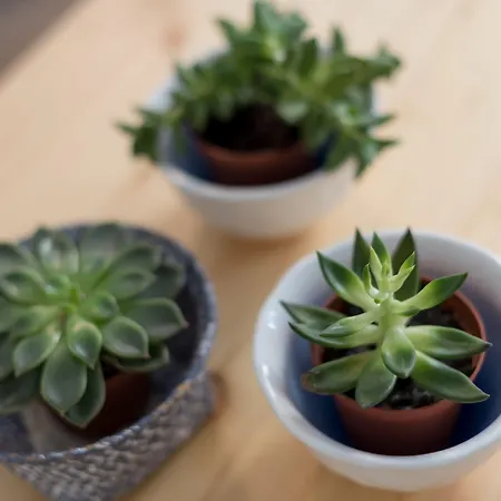 Lägenhet Casa Do Mercado By Heart Of Funchal (Madeira)