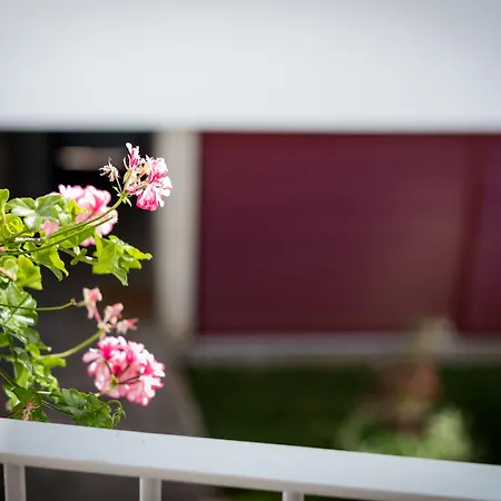 Casa Do Mercado By Heart Of Funchal (Madeira)
