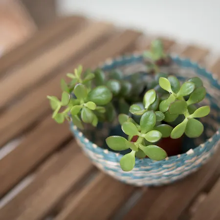 Casa Do Mercado By Heart Of *