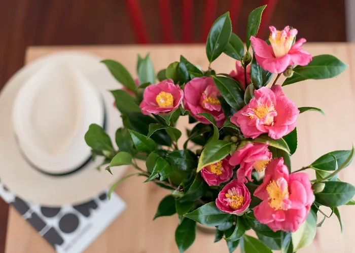 Appartement Casa Do Mercado By Heart Of Funchal (Madeira)