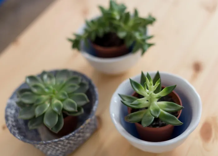 Appartement Casa Do Mercado By Heart Of Funchal (Madeira)