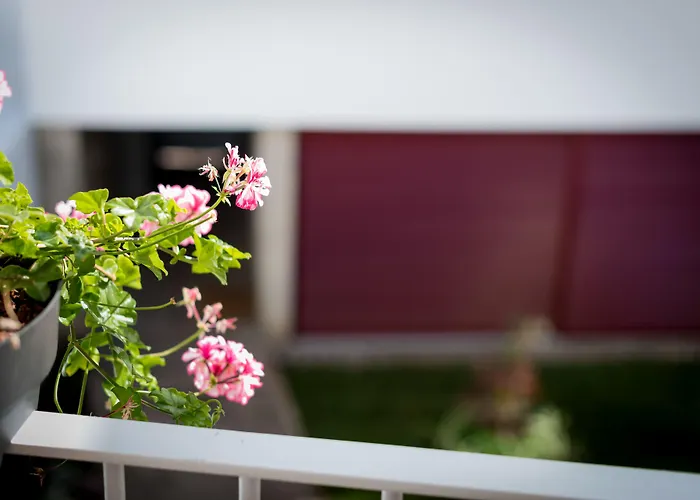 Casa Do Mercado By Heart Of Funchal (Madeira)